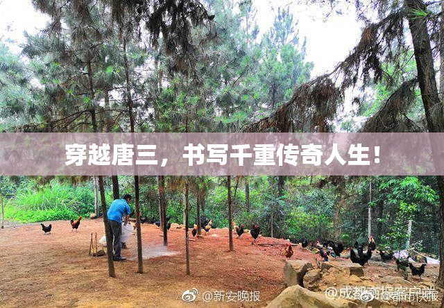 穿越唐三，书写千重传奇人生！