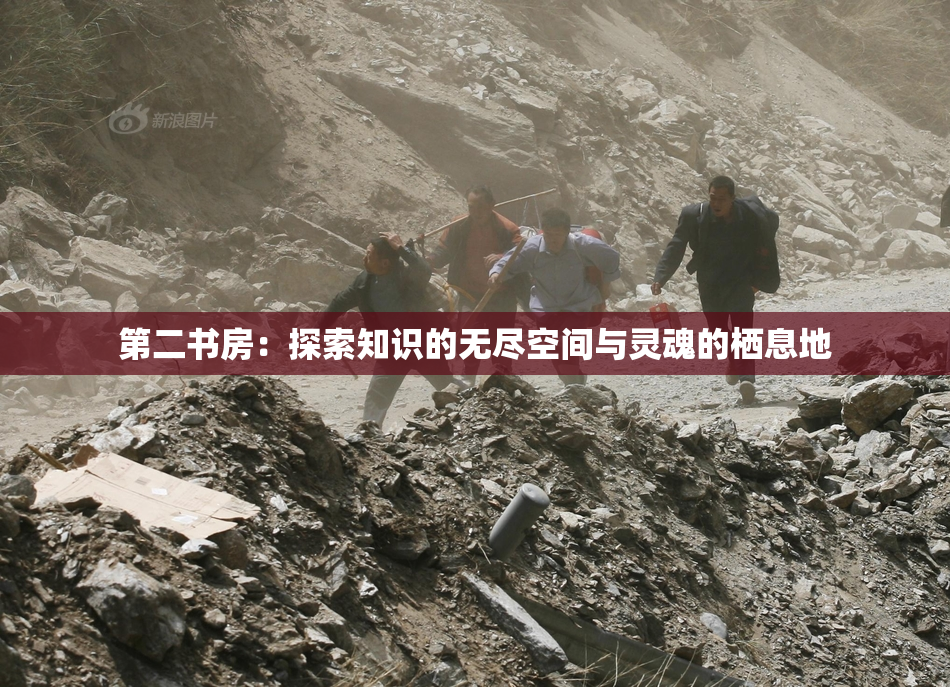 第二书房：探索知识的无尽空间与灵魂的栖息地