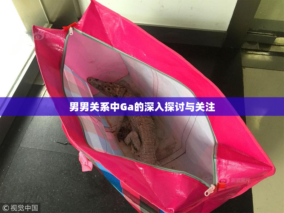 男男关系中Ga的深入探讨与关注