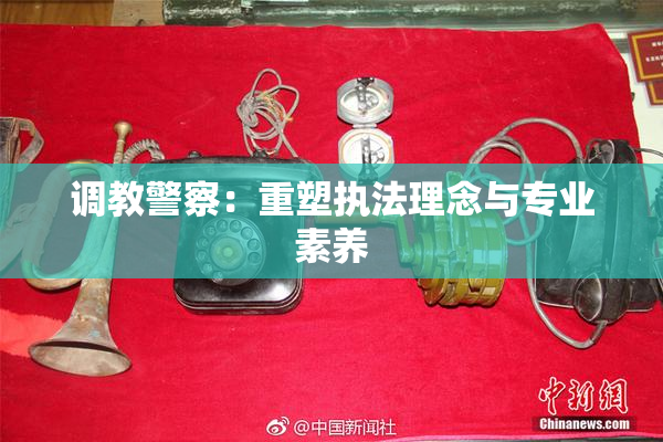 调教警察：重塑执法理念与专业素养