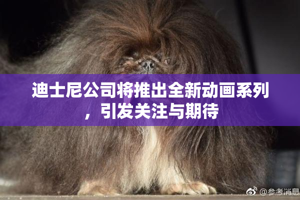 迪士尼公司将推出全新动画系列，引发关注与期待