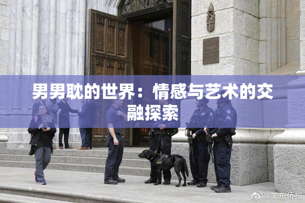 男男耽的世界：情感与艺术的交融探索