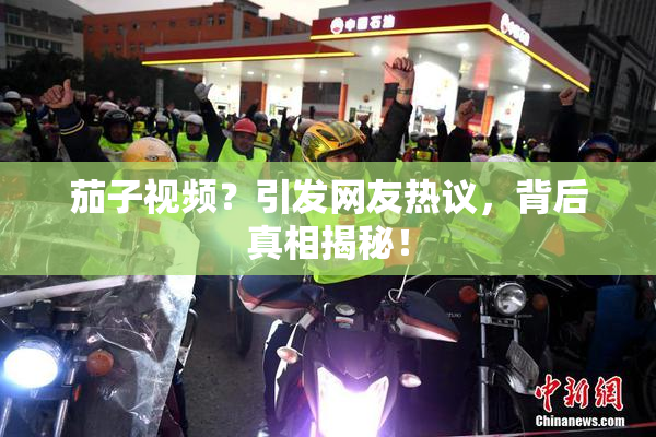 茄子视频？引发网友热议，背后真相揭秘！