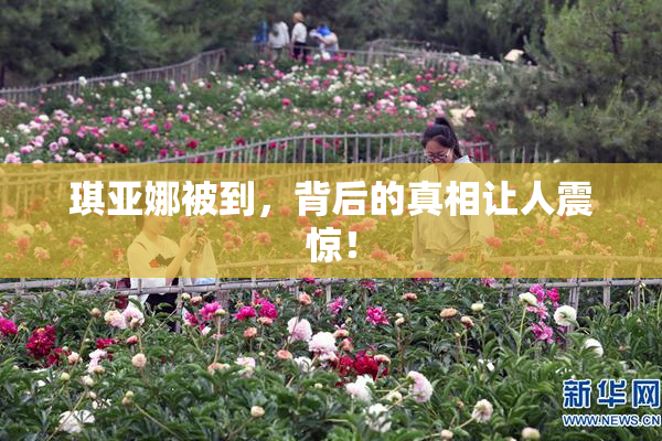 琪亚娜被到，背后的真相让人震惊！