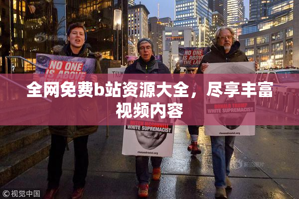 全网免费b站资源大全，尽享丰富视频内容