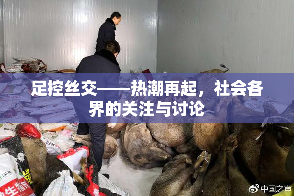 足控丝交——热潮再起，社会各界的关注与讨论