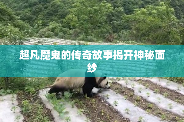 超凡魔鬼的传奇故事揭开神秘面纱