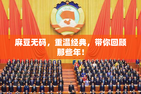 麻豆无码，重温经典，带你回顾那些年！
