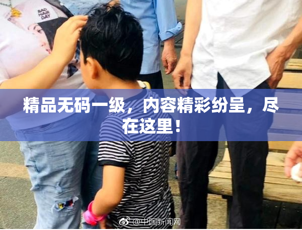 精品无码一级，内容精彩纷呈，尽在这里！