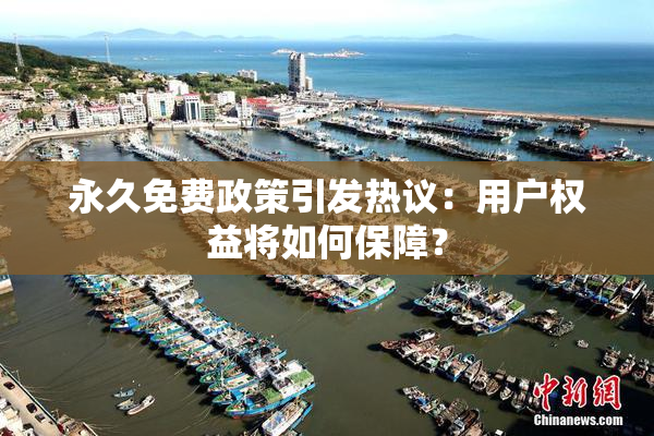 永久免费政策引发热议：用户权益将如何保障？