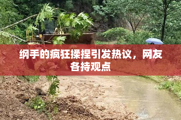 纲手的疯狂揉捏引发热议，网友各持观点