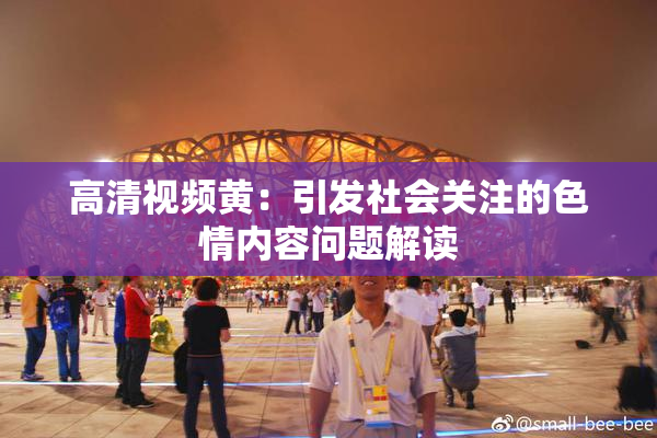 高清视频黄：引发社会关注的色情内容问题解读