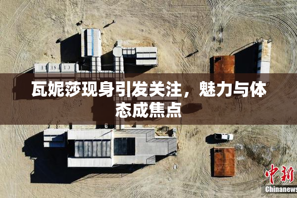 瓦妮莎现身引发关注，魅力与体态成焦点