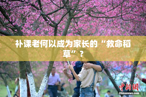 补课老何以成为家长的“救命稻草”？