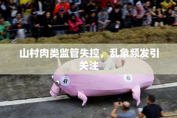 山村肉类监管失控，乱象频发引关注