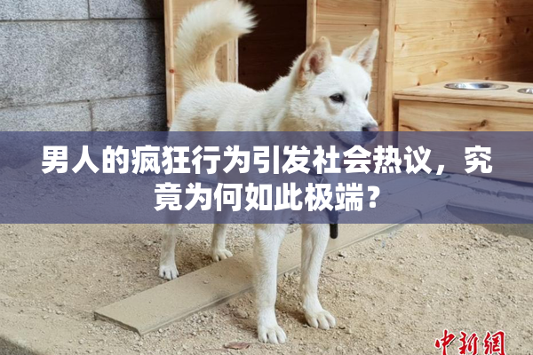 男人的疯狂行为引发社会热议，究竟为何如此极端？
