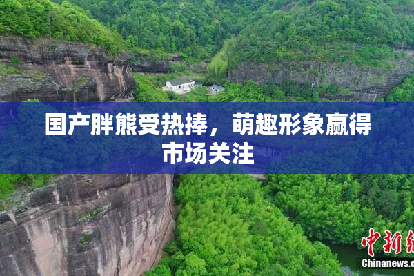 国产胖熊受热捧，萌趣形象赢得市场关注