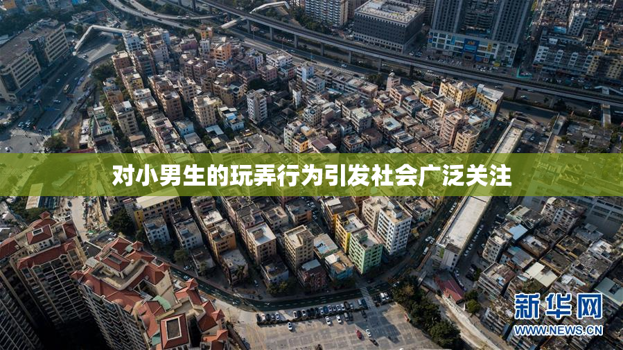 对小男生的玩弄行为引发社会广泛关注
