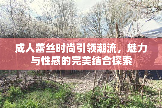 成人蕾丝时尚引领潮流，魅力与性感的完美结合探索