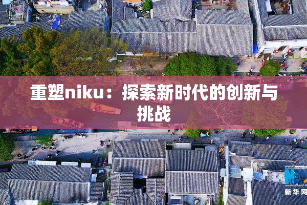 重塑niku：探索新时代的创新与挑战