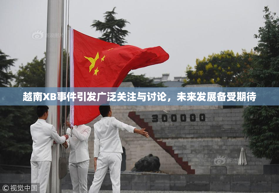 越南XB事件引发广泛关注与讨论，未来发展备受期待
