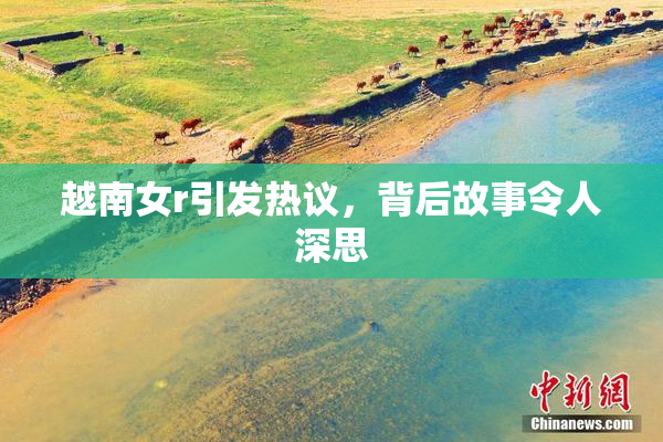 越南女r引发热议，背后故事令人深思