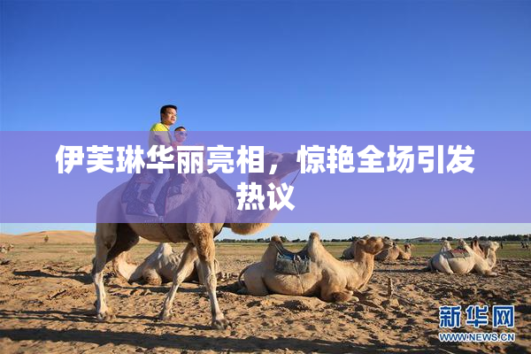 伊芙琳华丽亮相，惊艳全场引发热议