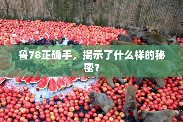 鲁78正确手，揭示了什么样的秘密？