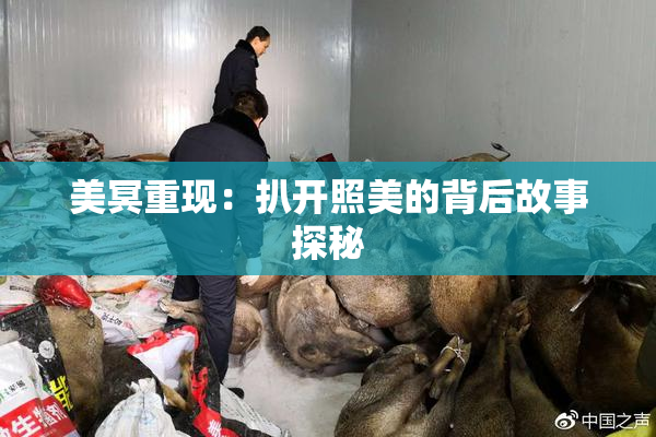 美冥重现：扒开照美的背后故事探秘