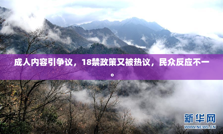 成人内容引争议，18禁政策又被热议，民众反应不一。