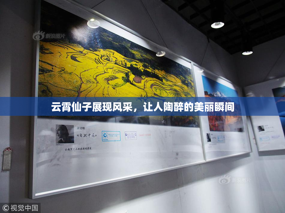 云霄仙子展现风采，让人陶醉的美丽瞬间