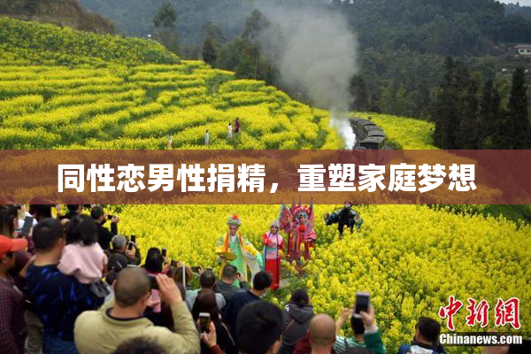 同性恋男性捐精，重塑家庭梦想