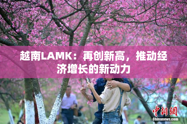 越南LAMK：再创新高，推动经济增长的新动力