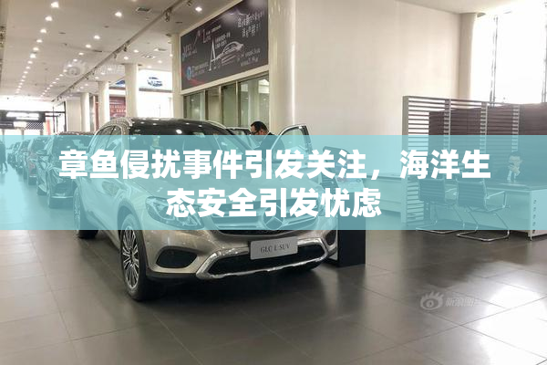 章鱼侵扰事件引发关注，海洋生态安全引发忧虑