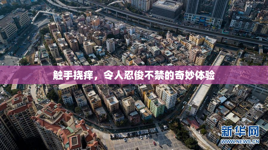触手挠痒，令人忍俊不禁的奇妙体验