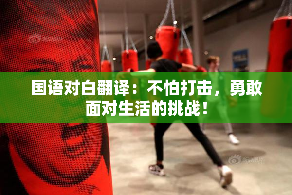 国语对白翻译：不怕打击，勇敢面对生活的挑战！