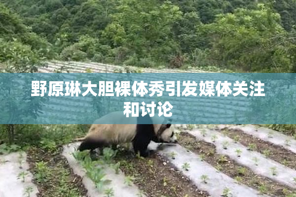 野原琳大胆裸体秀引发媒体关注和讨论