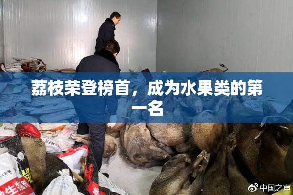 荔枝荣登榜首，成为水果类的第一名