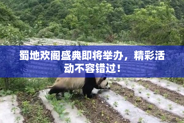 蜀地欢阁盛典即将举办，精彩活动不容错过！
