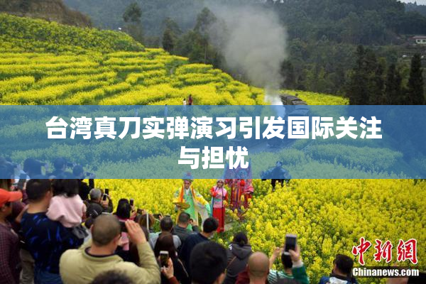 台湾真刀实弹演习引发国际关注与担忧