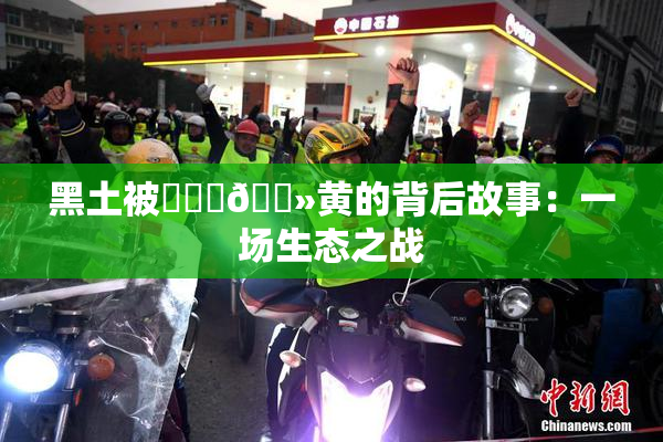 黑土被❌‌‌🐻黄的背后故事：一场生态之战