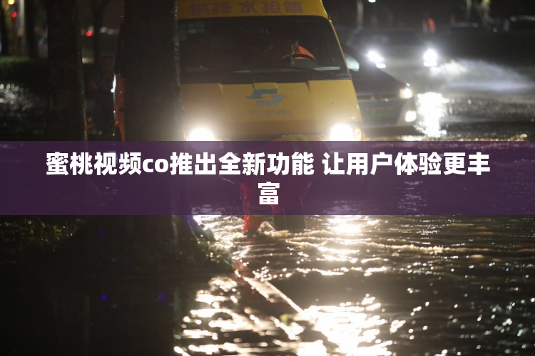 蜜桃视频co推出全新功能 让用户体验更丰富