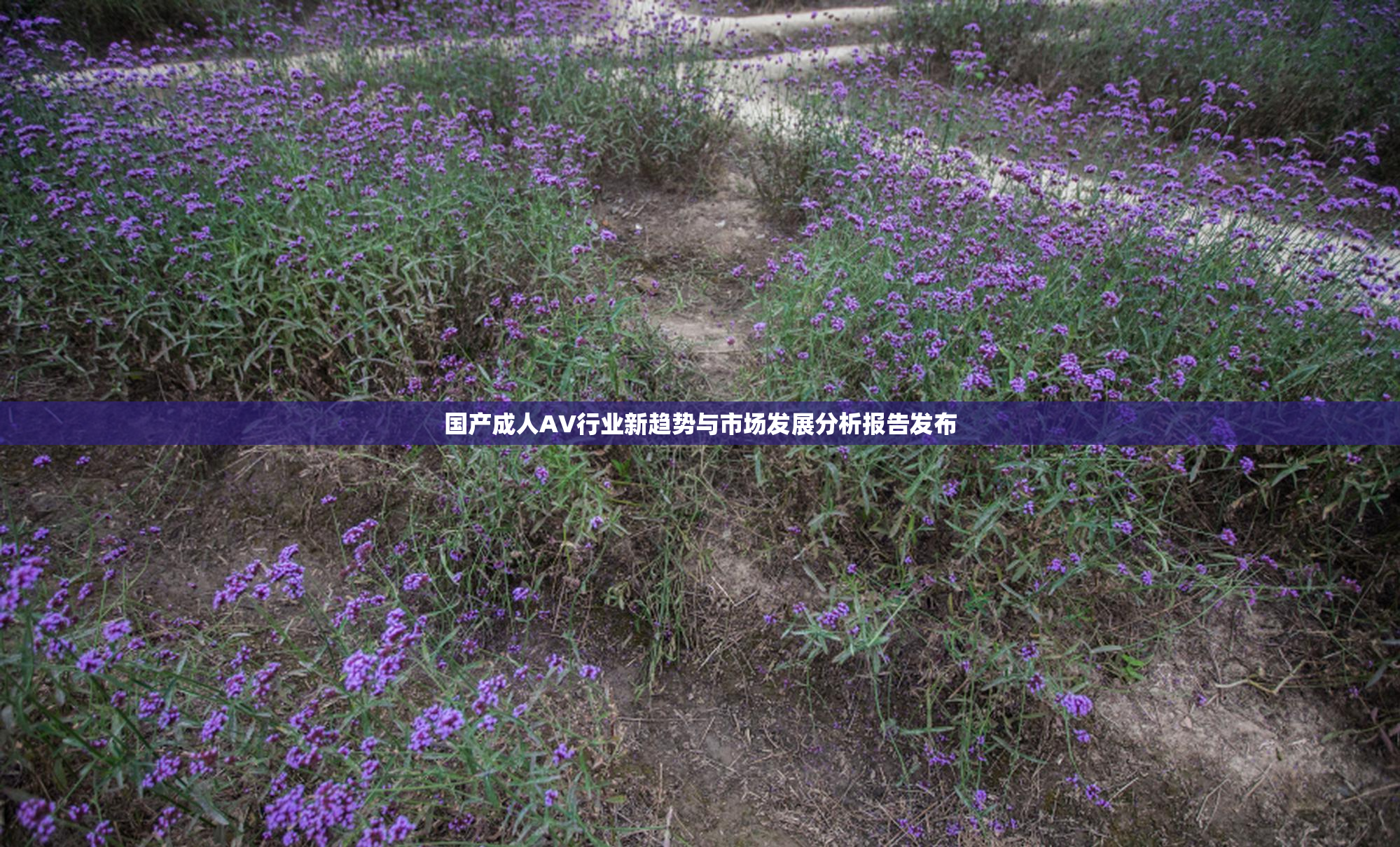 国产成人AV行业新趋势与市场发展分析报告发布