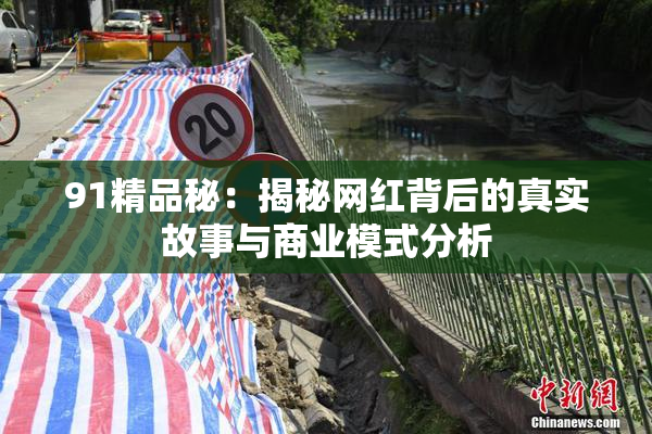 91精品秘：揭秘网红背后的真实故事与商业模式分析