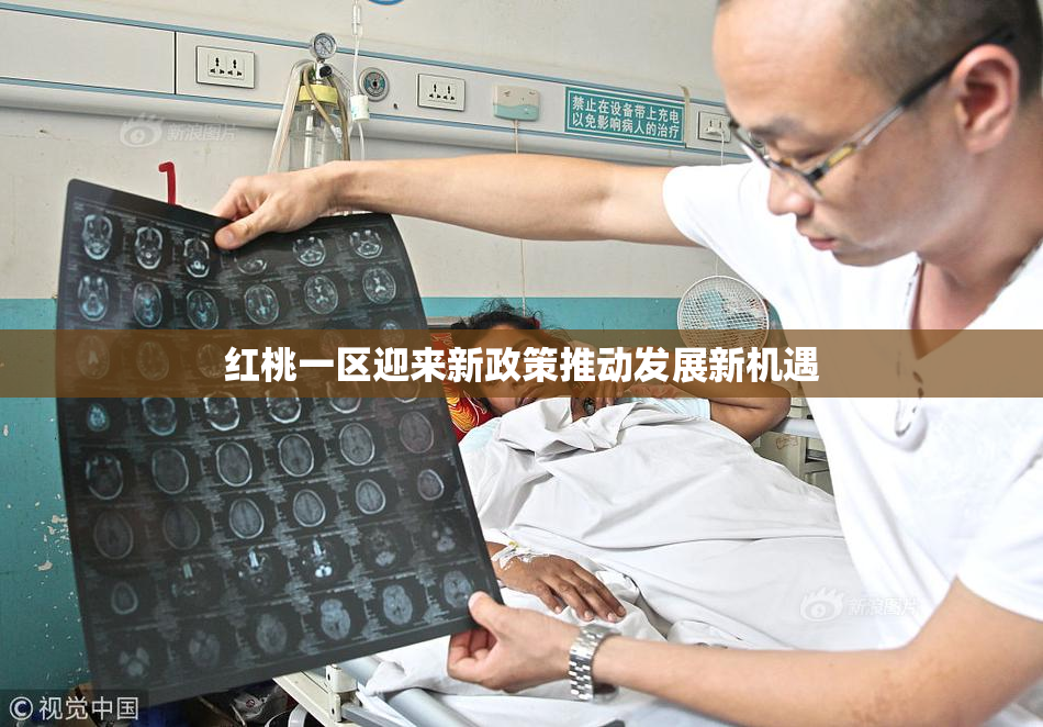 红桃一区迎来新政策推动发展新机遇