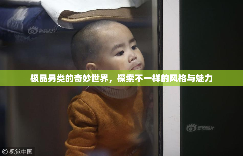 极品另类的奇妙世界，探索不一样的风格与魅力