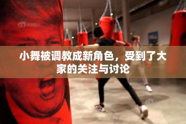 小舞被调教成新角色，受到了大家的关注与讨论