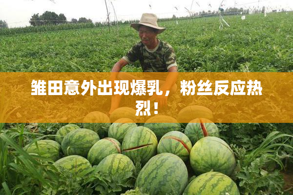 雏田意外出现爆乳，粉丝反应热烈！
