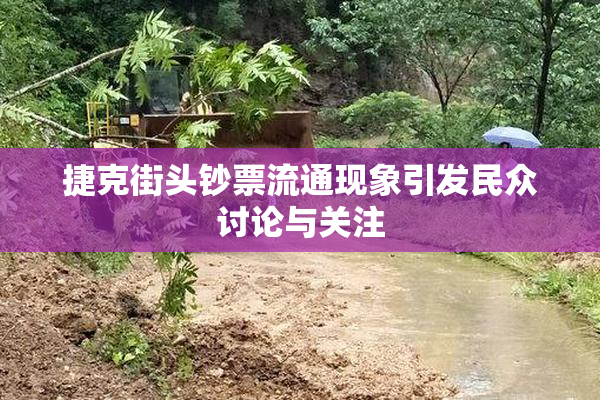 捷克街头钞票流通现象引发民众讨论与关注