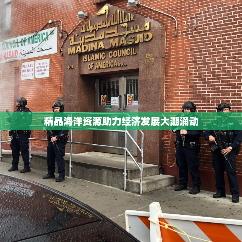 精品海洋资源助力经济发展大潮涌动
